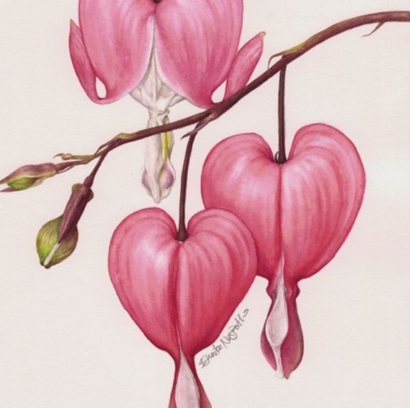 🐙All offers welcome - Picture 2 of 3